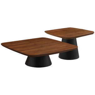Coffee Table Set