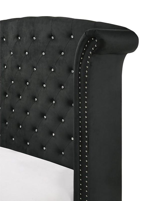 Crown Mark Furniture Lucinda Queen Upholstered Panel Bed in Black B9265-Q